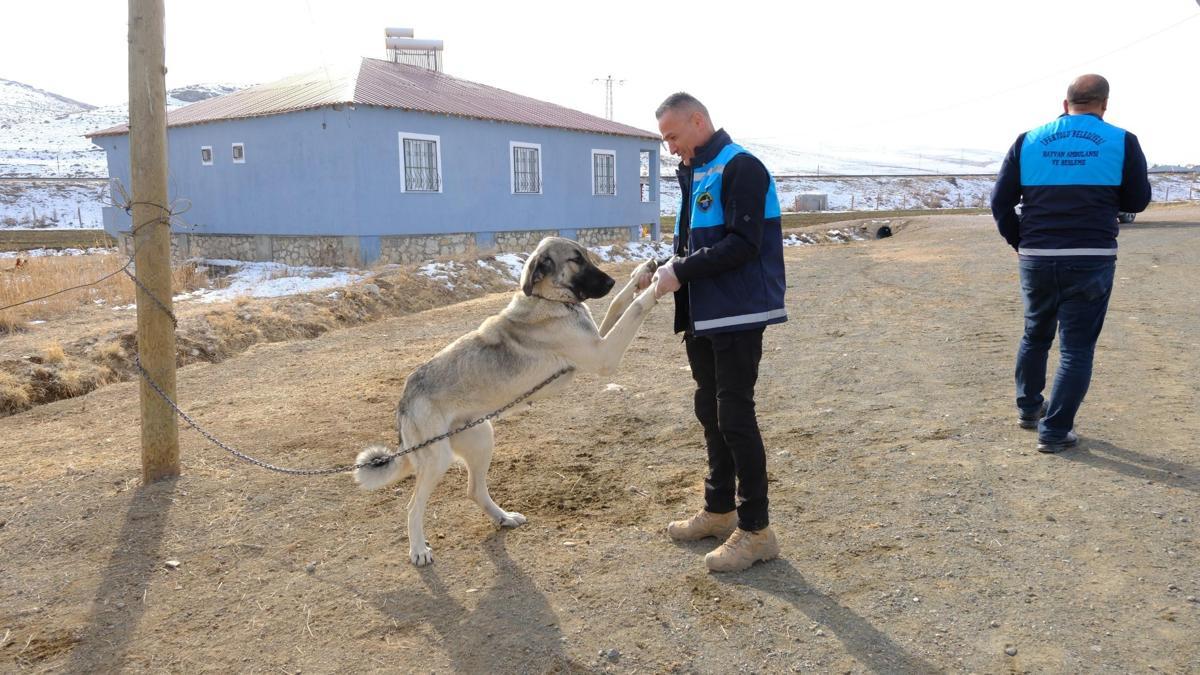 Artan kuduz vakalarına karşı aşılama ve bilgilendirme yapıldı