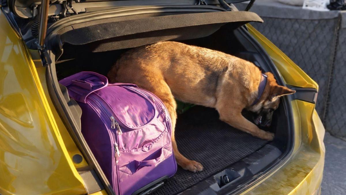 Otomobilde uyuşturucu ile yakalanan 5 kişiye gözaltı