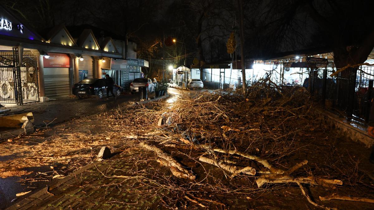 İzmir'de şiddetli rüzgar: Otomobilin üzerine ağaç devrildi