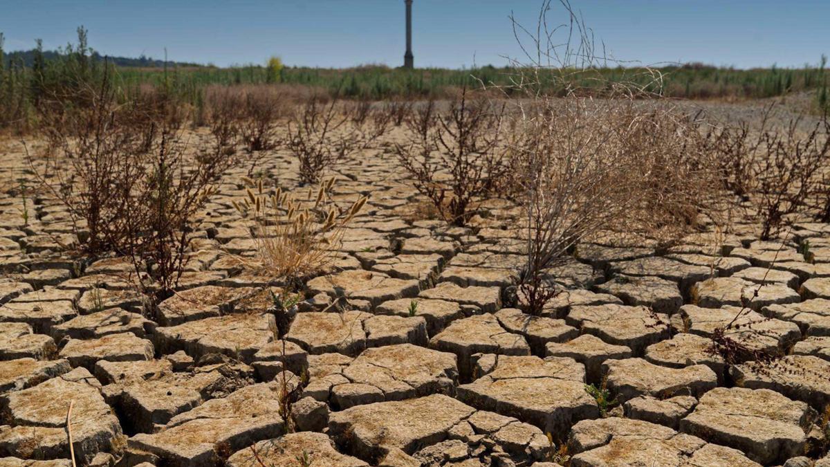'Yer altı suyunun aşırı kullanımı kuraklığı kalıcılaştırıyor'
