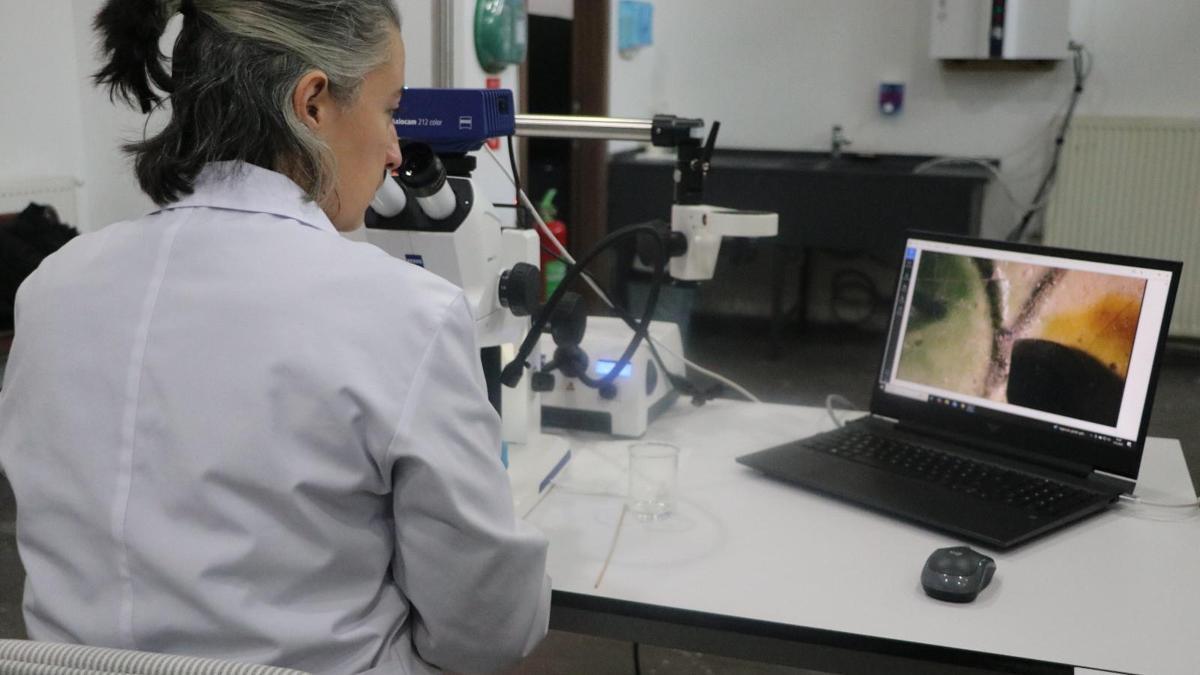 Kayseride müzedeki ve kazı çalışmalarında bulunan eserler konservasyon laboratuvarında temizleniyor