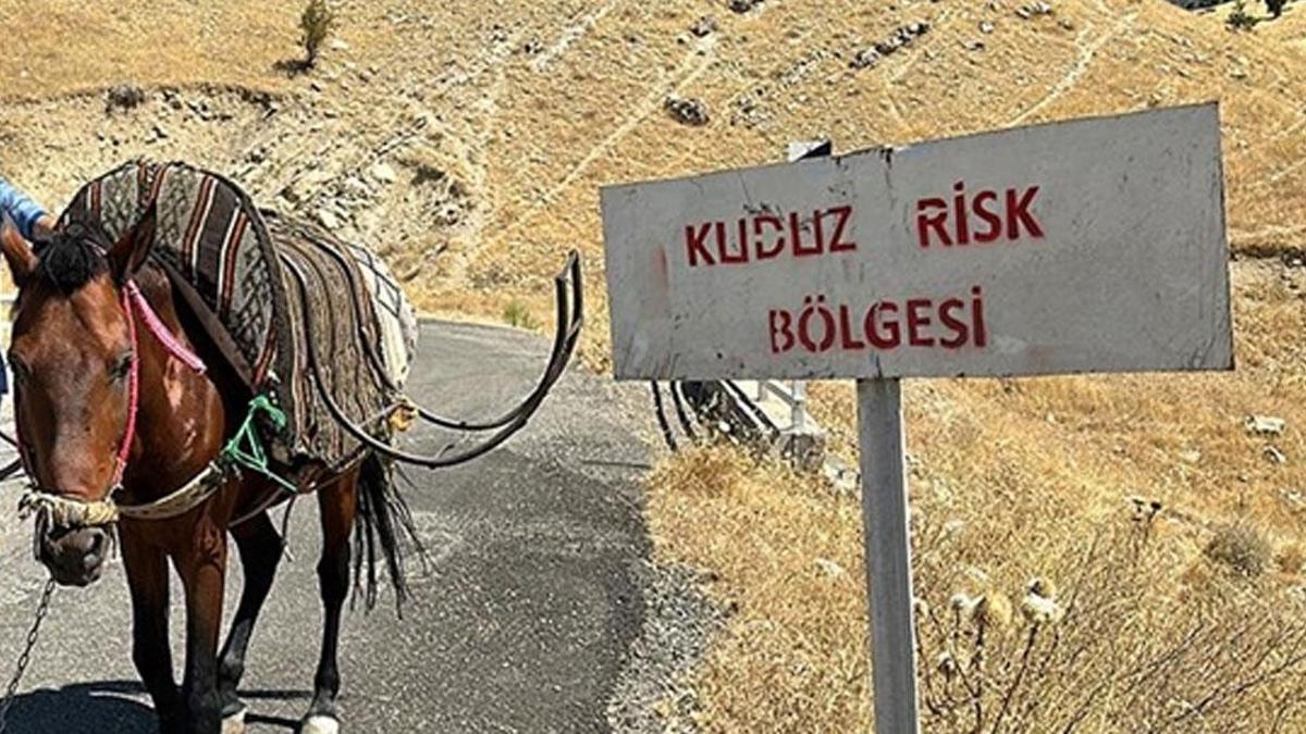 Bitlis'te köy kuduz alarmı! Bir köy karantinaya alındı