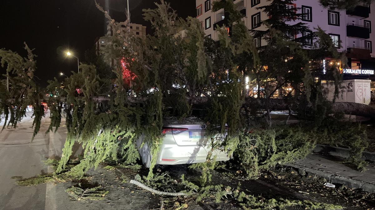 Kayseri'de kuvvetli fırtınada otomobilin üzerine ağaç devrildi