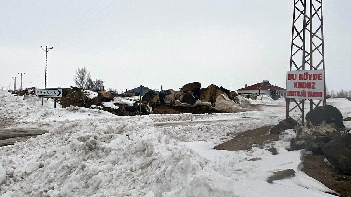 Adilcevaz'da kuduz vakası tespit edilen köy, karantinaya alındı