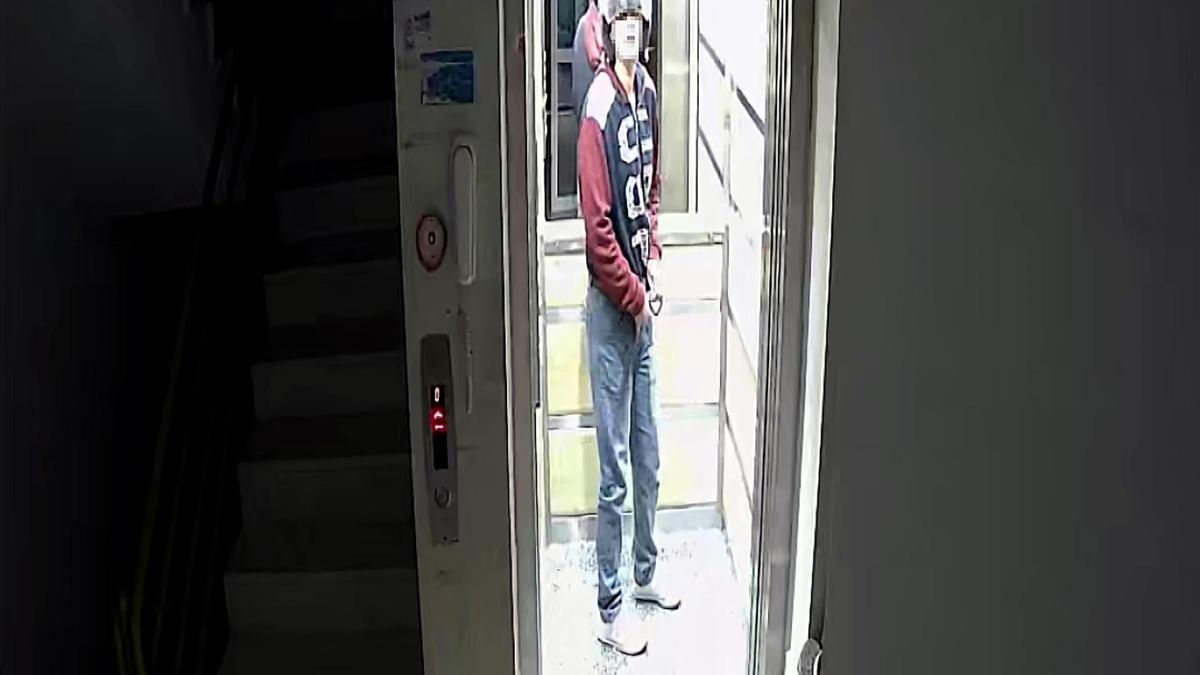 Kaskla apartmana girip, damdaki kuşları çalan şüpheli tutuklandı