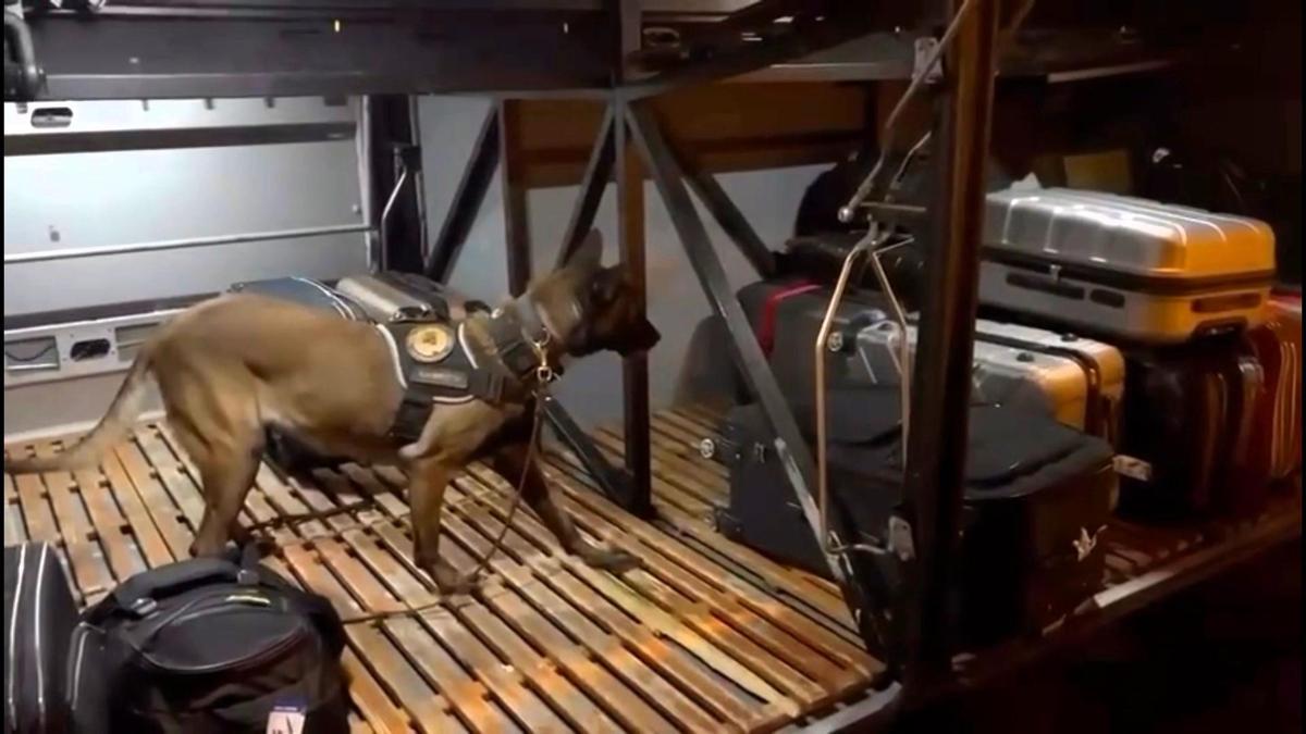 Osmaniyede yolcu otobüsünde uyuşturucu ele geçiril…