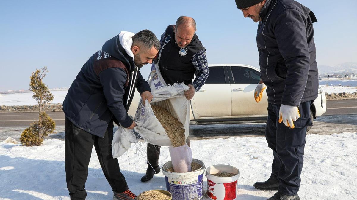 Van Büyükşehir Belediyesi, kuşlar için doğaya yem bıraktı