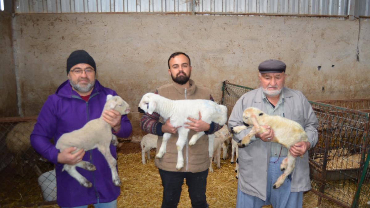 3 kuşaktır, koyun yetiştiriyorlar