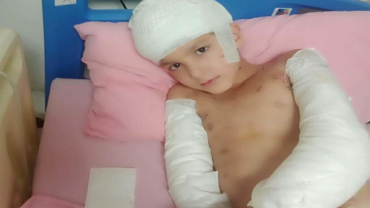 Sokak köpeklerinin saldırısında yaralanan Tunahan'ın ailesine, 5 milyon TL manevi tazminat ödenecek