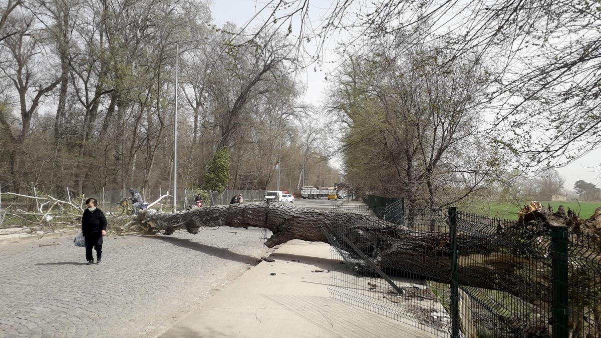Marmara'da fırtına, Trakya'da şiddetli yağış bekleniyor