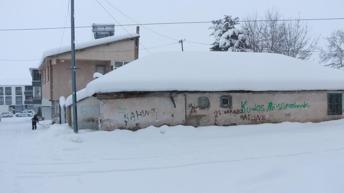 Karlıova'da 30 köy yolu kardan kapandı