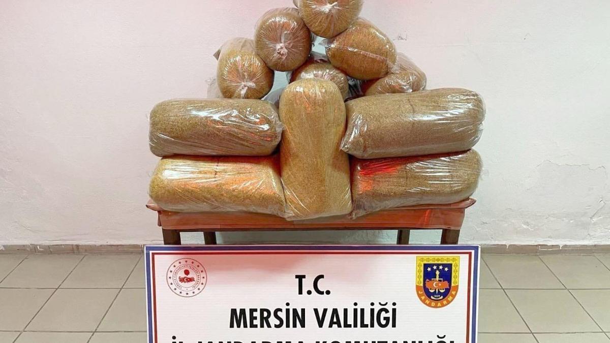 Mersinde kaçak tütün operasyonu