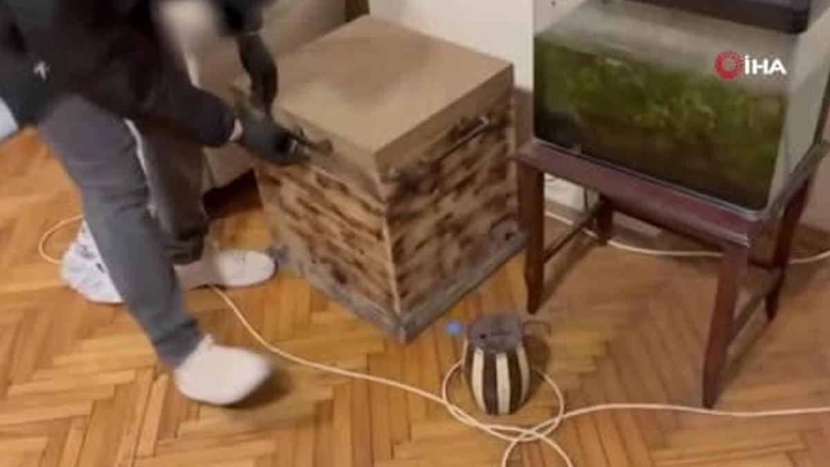 Uyuşturucu operasyonunda avukat kurye' çıktı