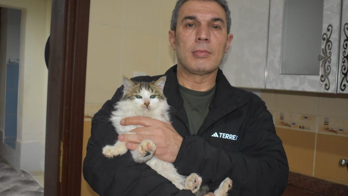 Dondurucu soğukta apartmandaki dairesini kedilere açtı