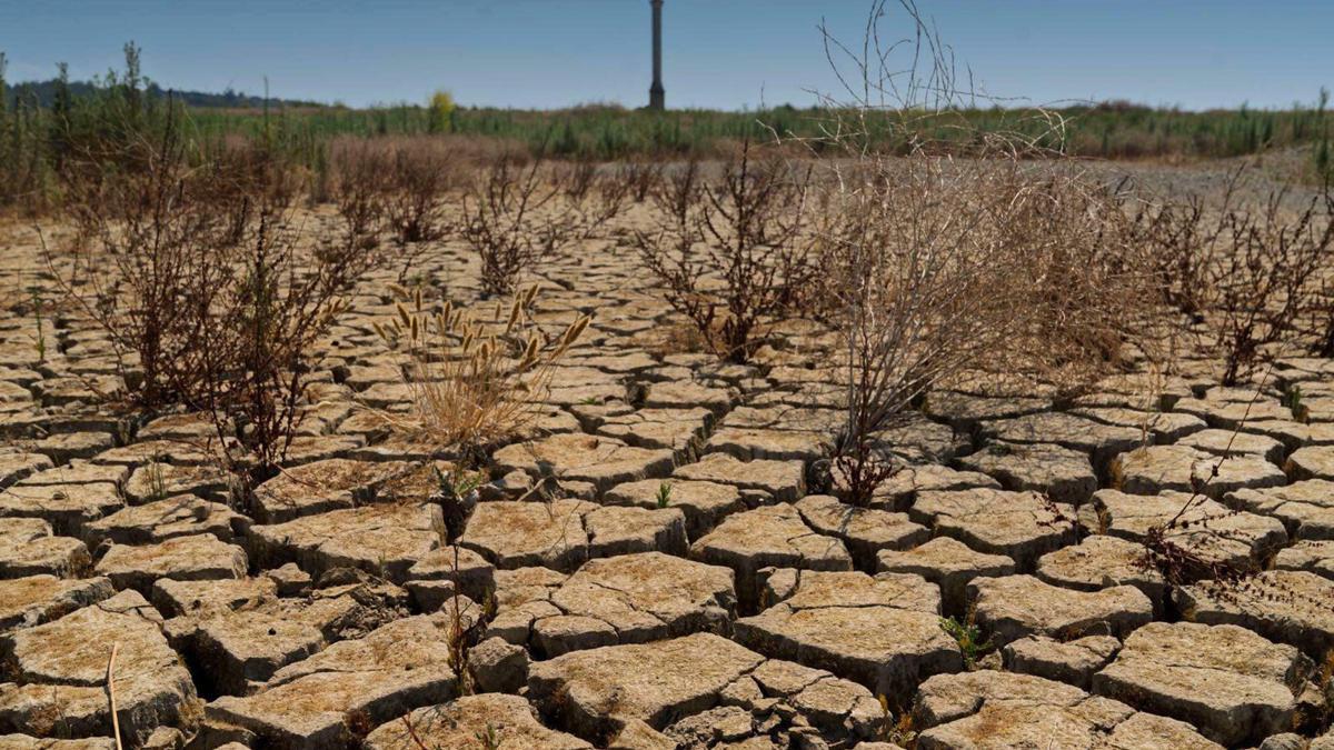 'Doğru yönetemezsek kullanabilecek suyumuz kalmayacak'