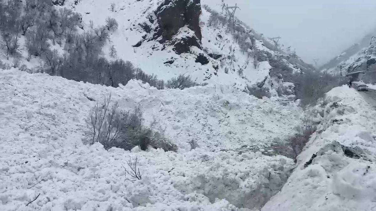Tuncelide yol kenarına çığ düştü