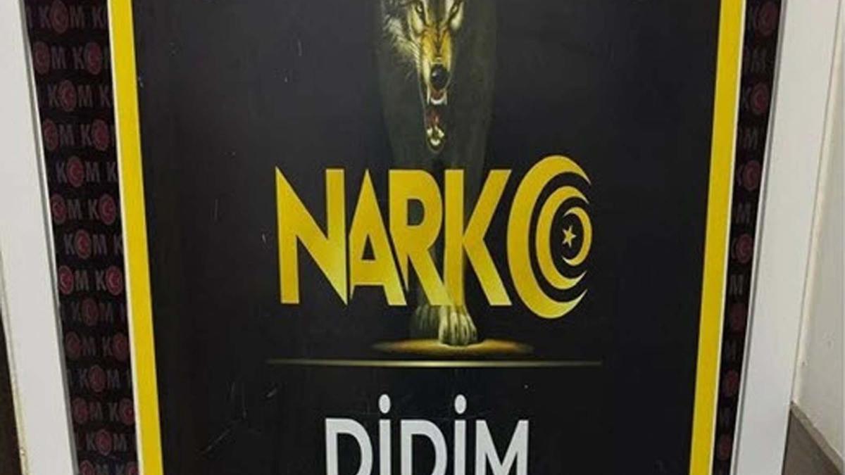 Aydın'da uyuşturucu operasyonuna 1 tutuklama