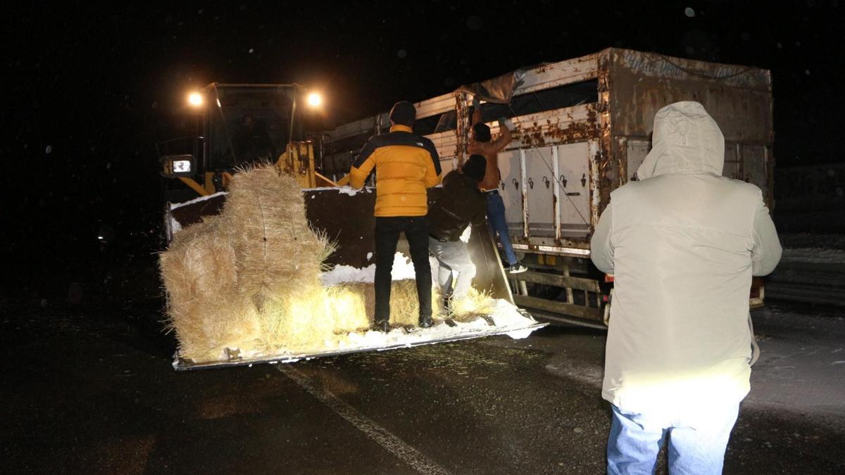 Bingölde tipide mahsur kalan büyükbaş hayvanlara saman ulaştırıldı