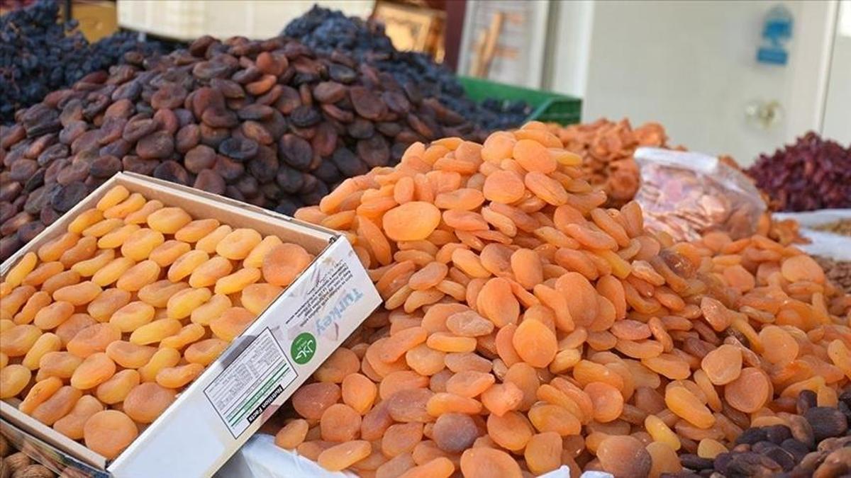 Malatyadan 335 milyon dolarlık ihracat: Kuru kayısı liderliğini koruyor