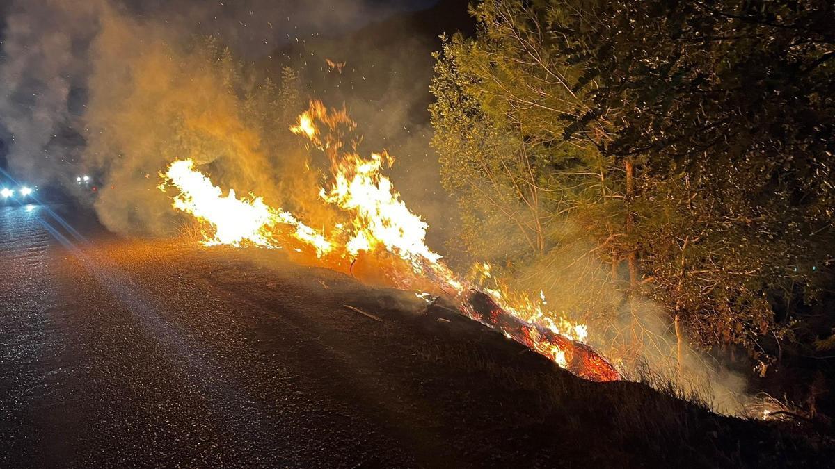 Yol kenarında çıkan yangın, ormana sıçradı