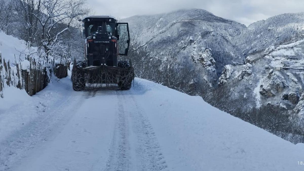 Trabzonda karla mücadele sürüyor
