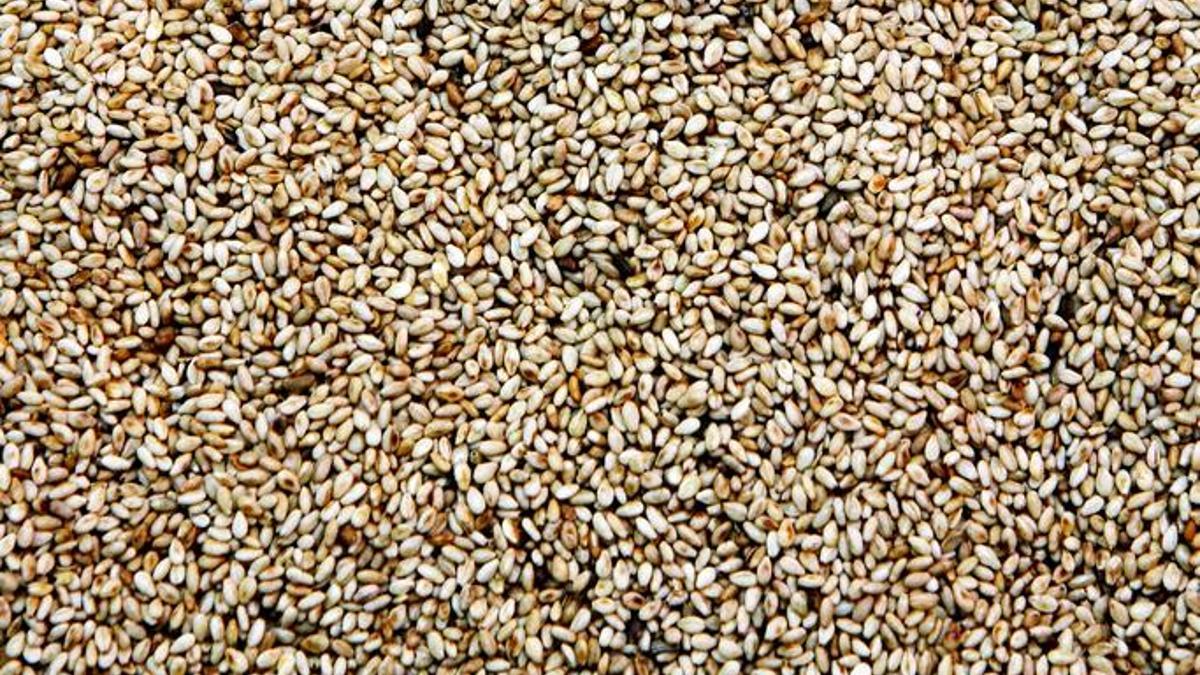 'Şifalı tohum' olarak biliniyor: Badem sütünden on kat daha faydalı! İşte susamın yararları