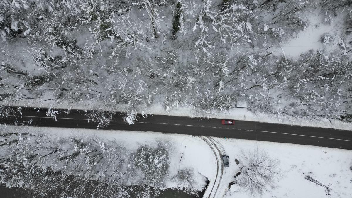 'Ağaç tünel yol'da, kar yağışı sonrası ortaya çıkan manzara görüntülendi