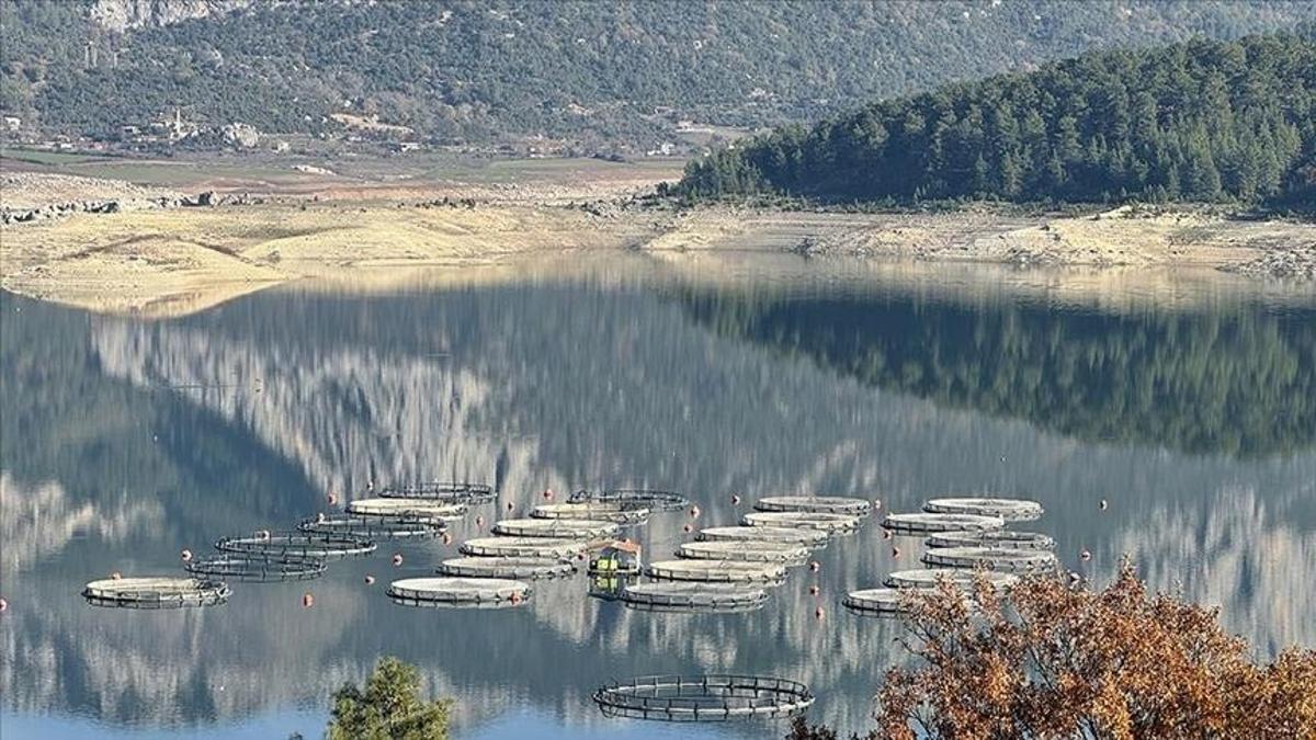 16 işletme, 4.500 ton kapasite: Karacaörende balıkçılıkta rekor yıl
