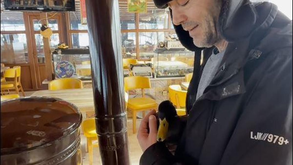 Kastamonu'da kış koşullarında bitkin bulunan ördek, beslenip doğaya salındı