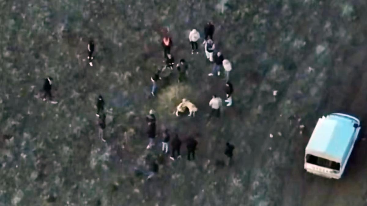 Jandarma köpek dövüşünü dronla tespit etti; 14 gözaltı