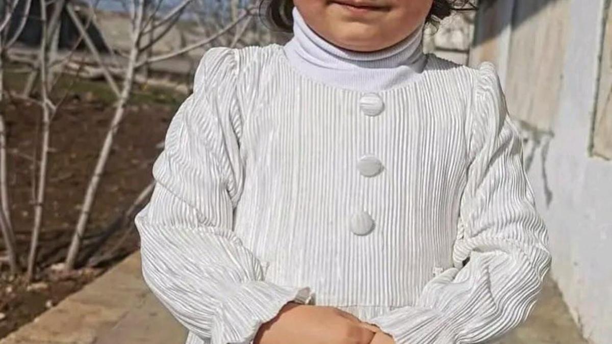 Sokak köpeklerinin saldırısına uğrayan Nazlı, ağır yaralandı