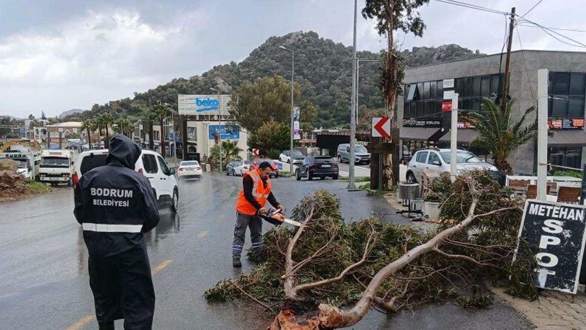 Bodrumda fırtına; ağaçlar devrildi, tekneler su aldı