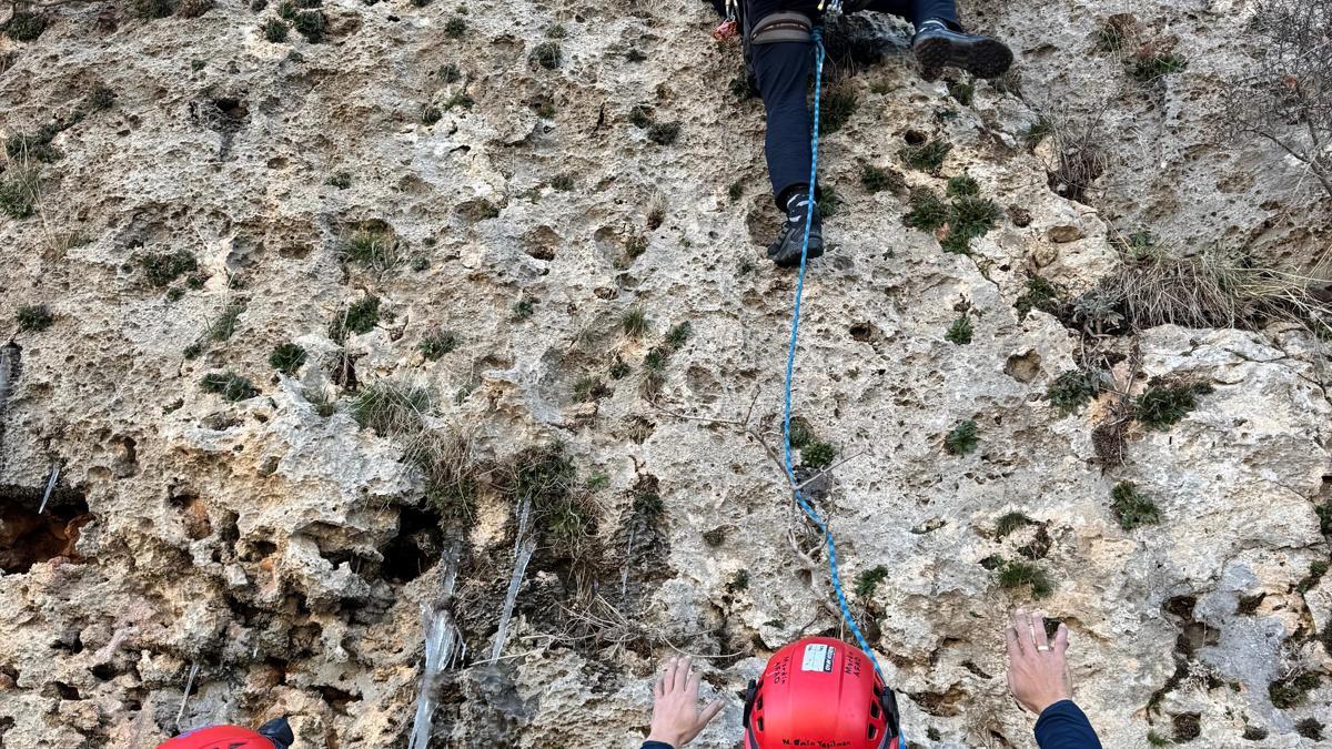 Mardinde dağda mahsur kalan keçi kurtarıldı