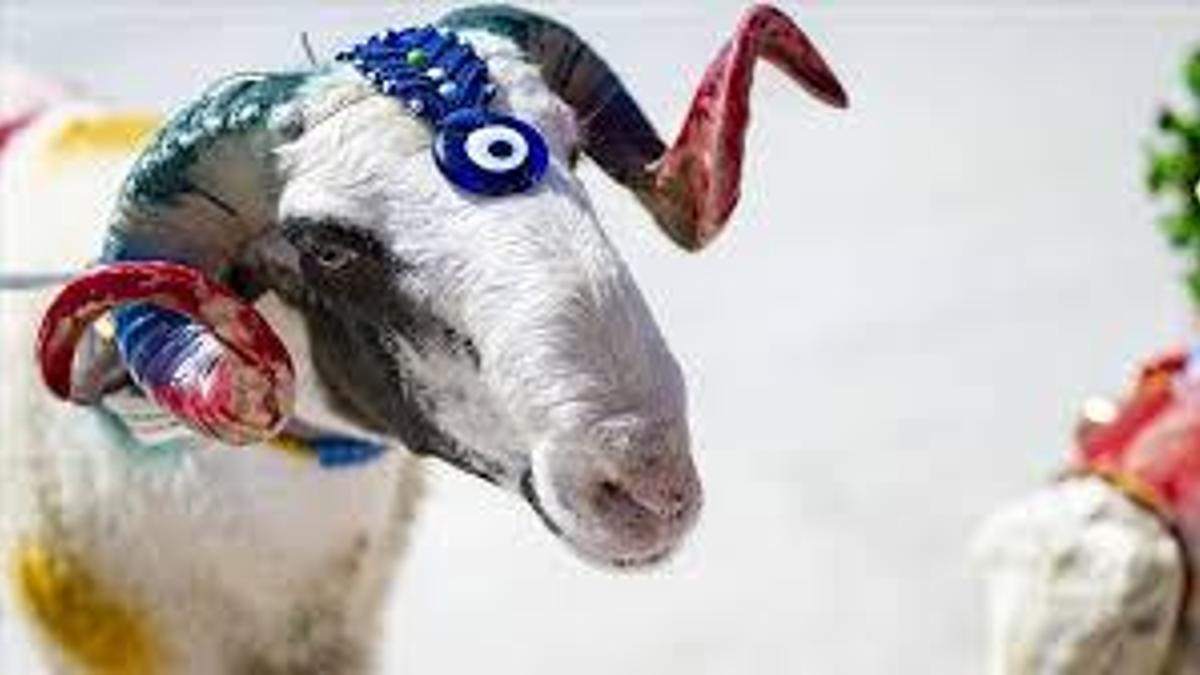 2026 KURBAN BAYRAMI NE ZAMAN? Kurban Bayramı hangi ayda? Kurban Bayramı tatili kaç gün olacak?