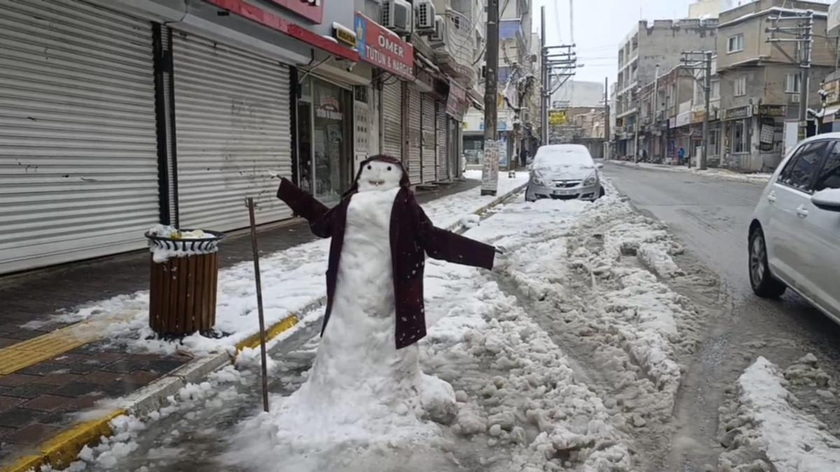 Nusaybinde kar yağışı etkili oldu