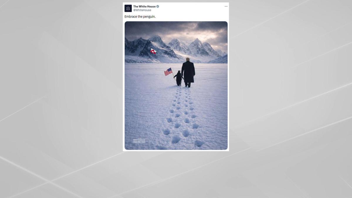 Beyaz Saray Grönland göndermeli paylaşımı alay konusu oldu