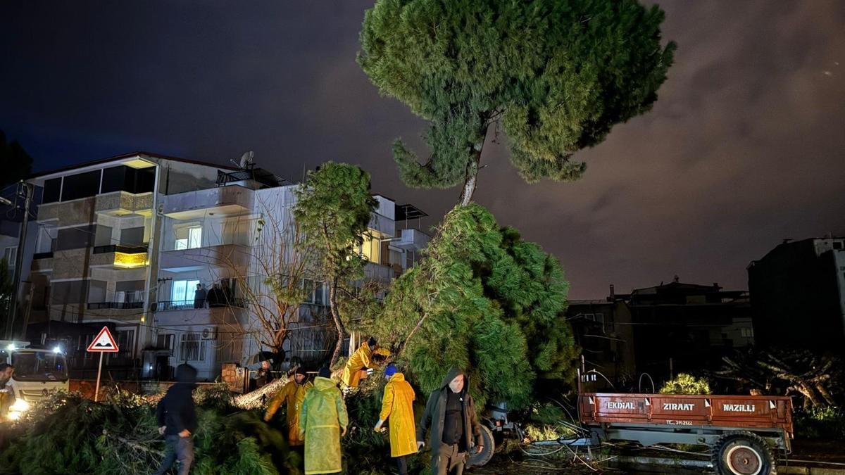 Fırtınada devrilen ağaç, elektrik tellerini kopardı