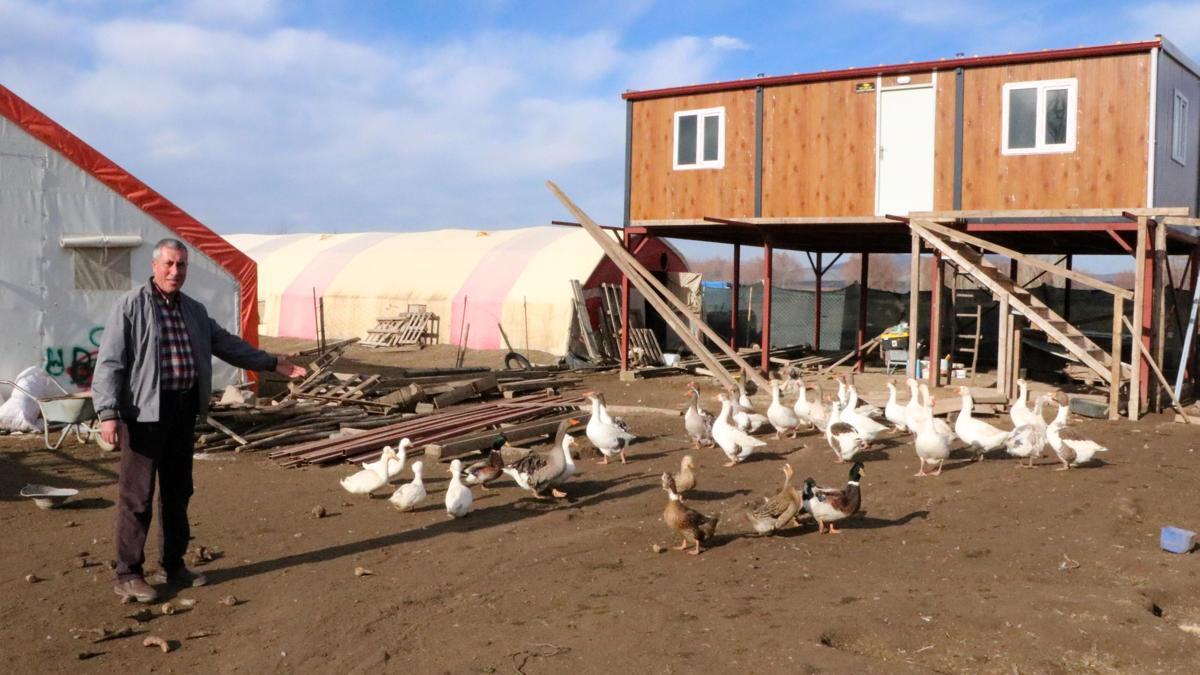 3 asırdır köylerinde kaz yetiştiriyorlar