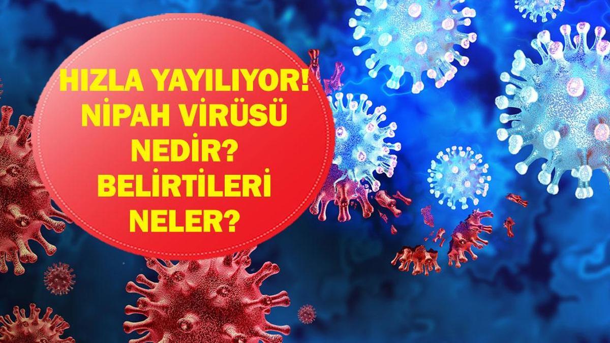 NİPAH VİRÜSÜ BELİRTİLERİ: Nipah Virüsü Nedir, Belirtileri Neler? Hindistan'da Başladı! Ölümcül Riski Var!