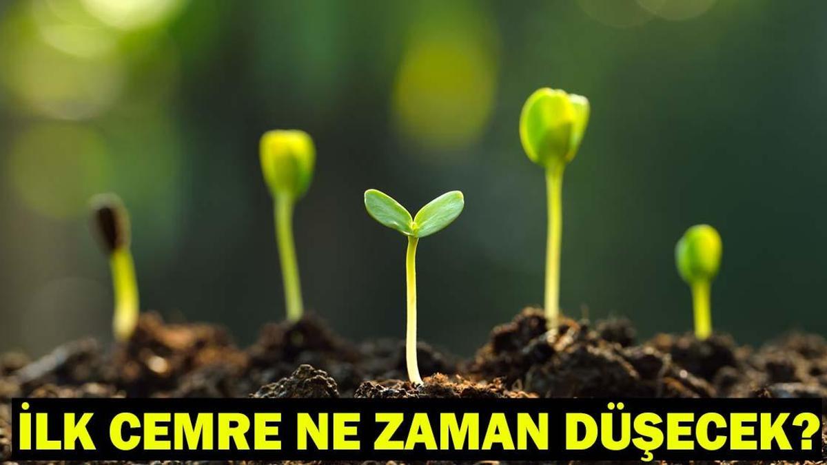 İLK CEMRE NE ZAMAN DÜŞECEK? 2026 Cemre Düşme Tarihleri (Havaya, Suya ve Toprağa)