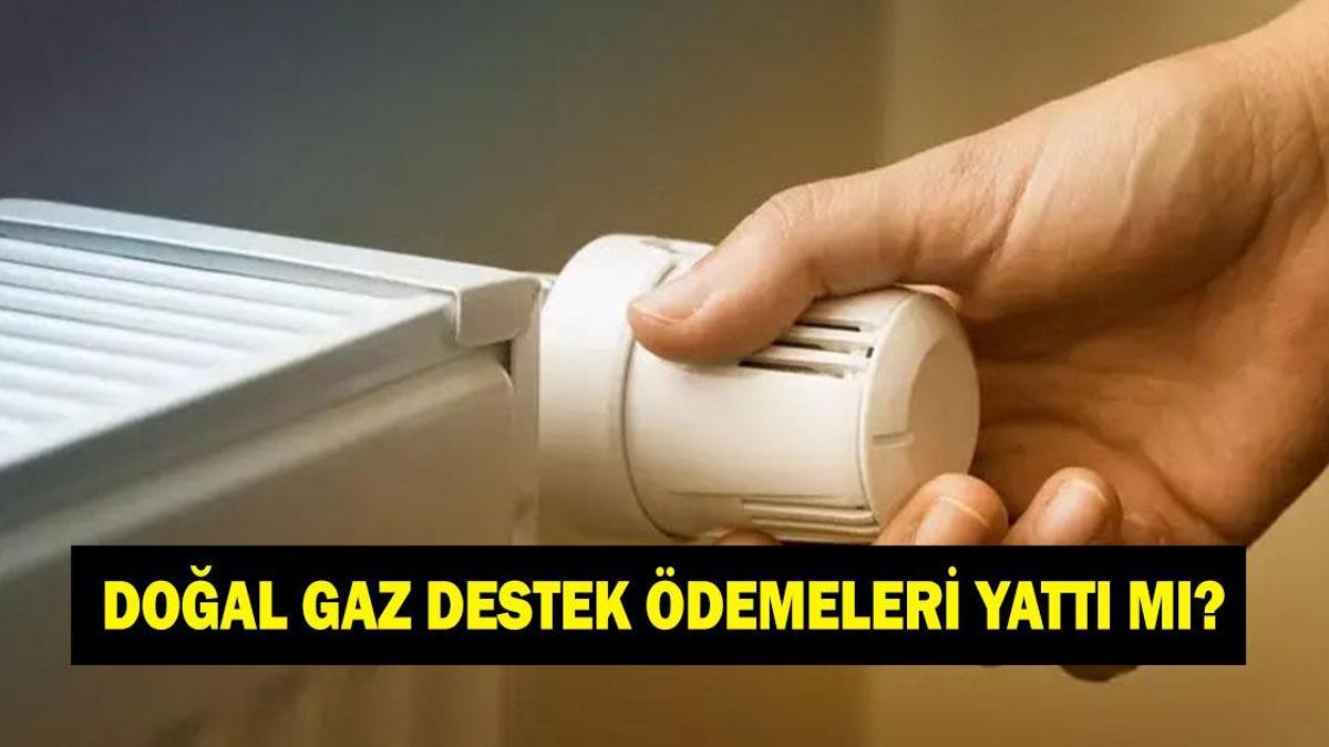 DOĞAL GAZ DESTEK ÖDEMELERİ 0CAK 2026 | Doğal gaz desteği ödemeleri yattı mı? Doğal gaz desteği başvurusu nasıl yapılır?