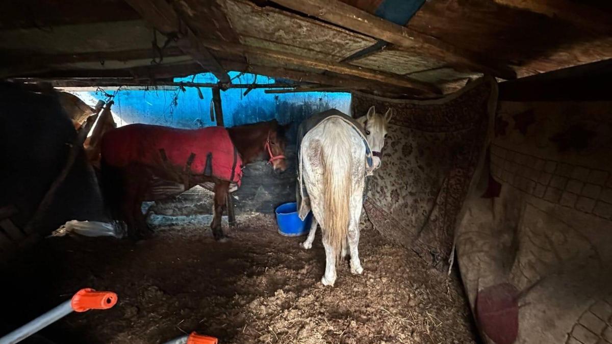 At kestikleri öne sürülen 2 şüpheli, operasyonla yakalandı