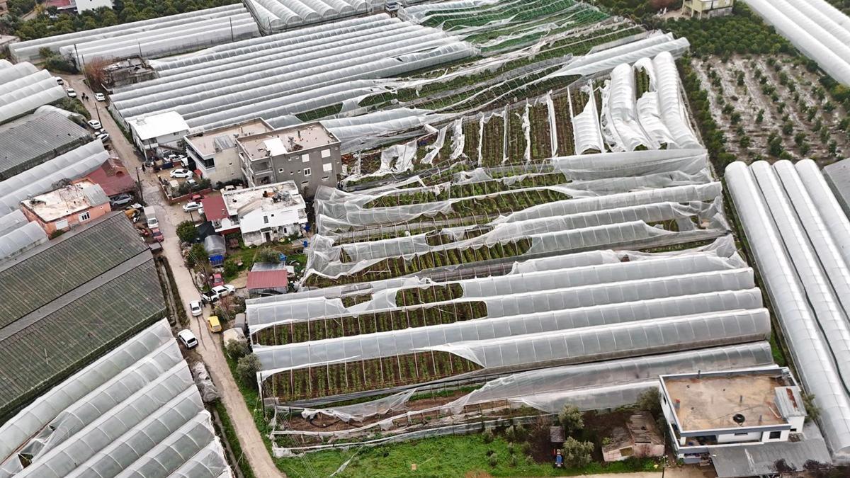 Finikede hortumdan zarar gören seralarda hasar tespiti başladı
