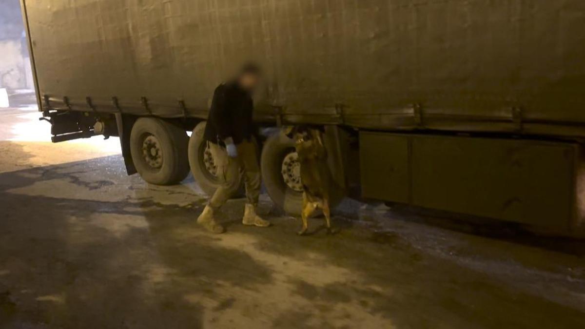 TIR'daki 51 kilo esrarı 'Mailo' buldu