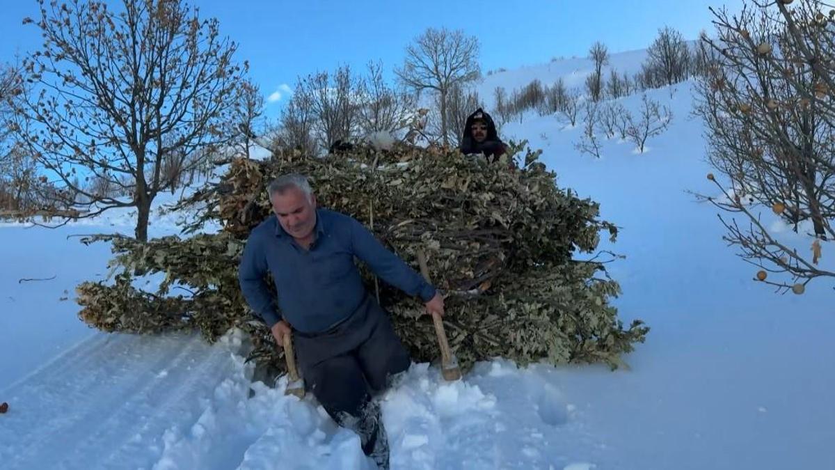 Bitlis'te besiciler, karda kızakla hayvanlarına ot taşıyor