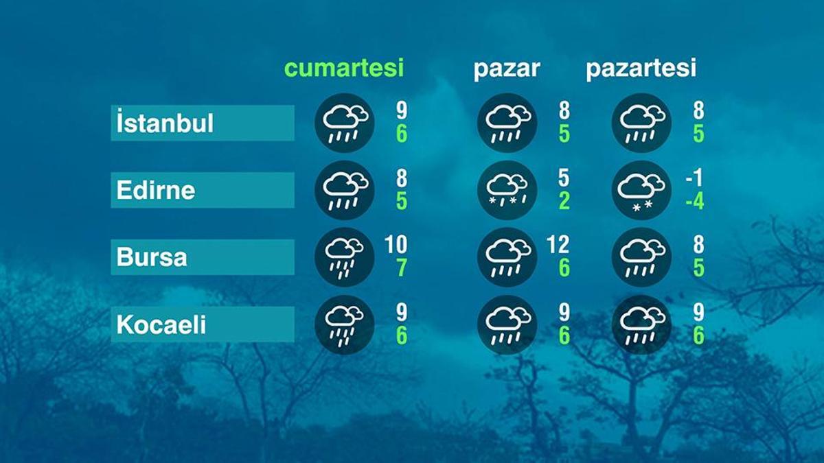 Hava Durumu (31-01-2026)