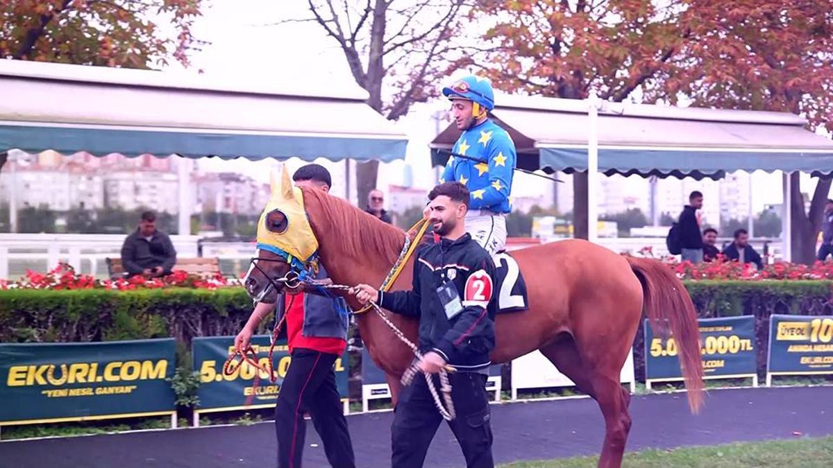 Padok: Yarış öncesi son çıkış! Atların fiziksel ve mental durumu burada gözlemlenir...