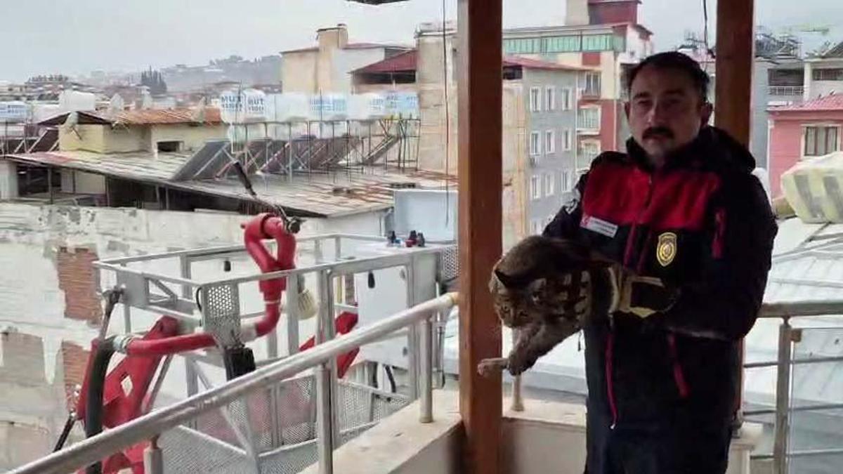 Hatayda, 7inci kattaki kediyi kurtaran personele kadınlardan alkışlı teşekkür