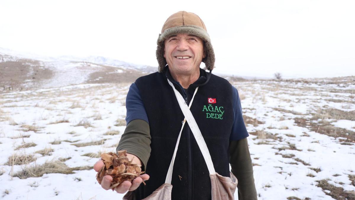 Kayserinin Ağaç Dedesi 1 milyondan fazla fidanı toprakla buluşturdu