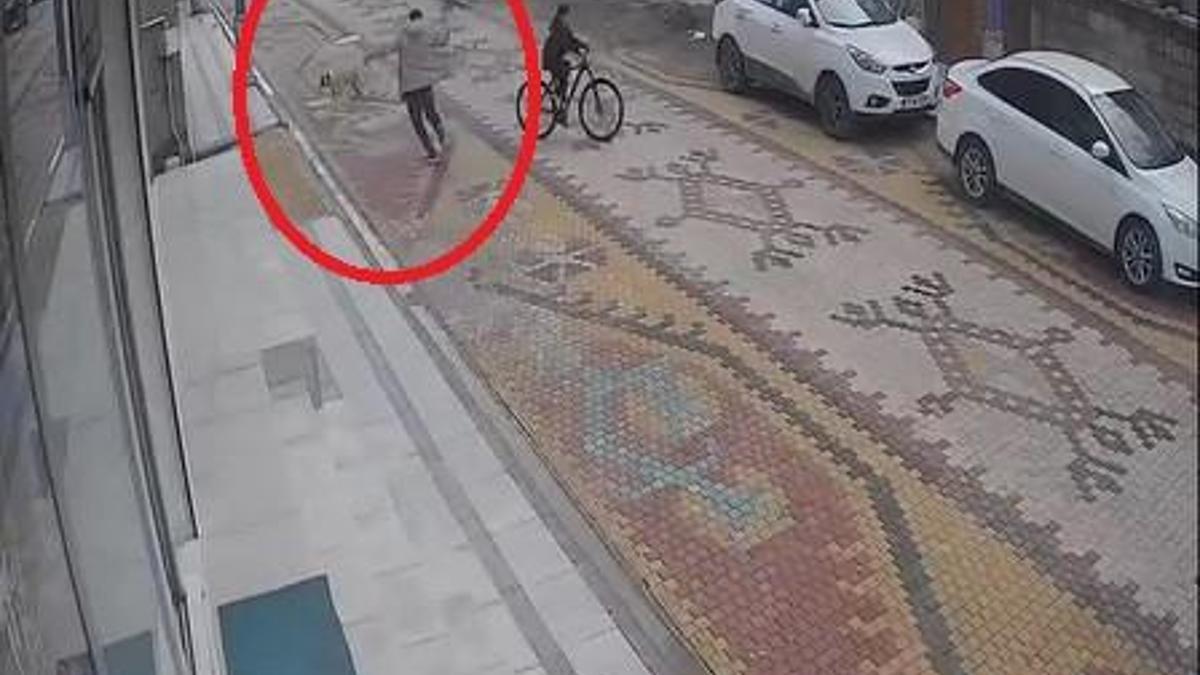 Esnafın, çocuğu, sokak köpeğinin saldırısından kurtardığı anlar kamerada